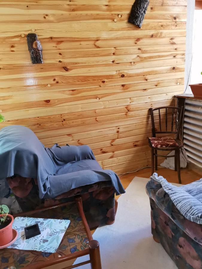 Casa Crisandri Busteni Otel Dış mekan fotoğraf