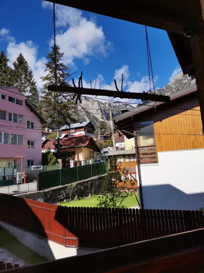 Casa Crisandri Busteni Otel Dış mekan fotoğraf